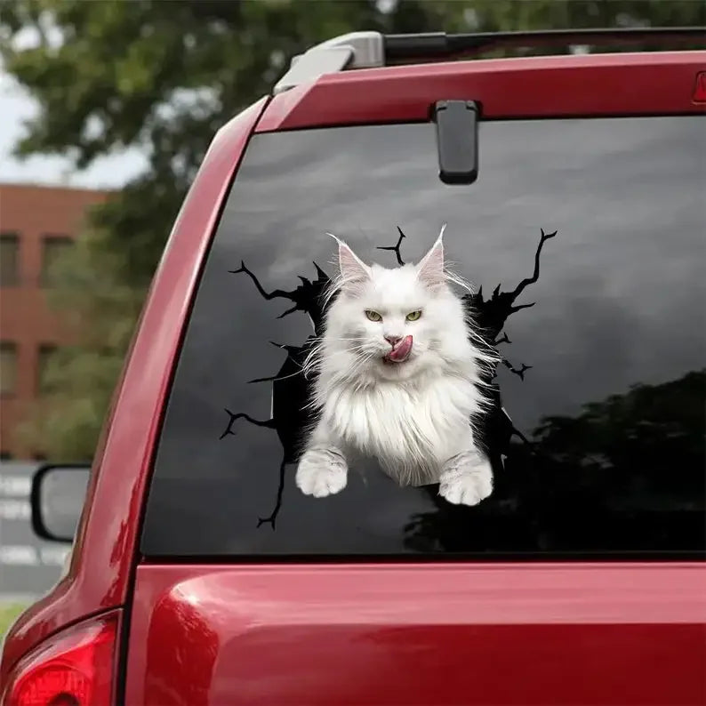 Sticker Maine Coon – convient aux voitures, fenêtres, ordinateurs portables et toute surface lisse ; autocollants Maine Coon, stickers animaux de compagnie, sticker chat personnalisé