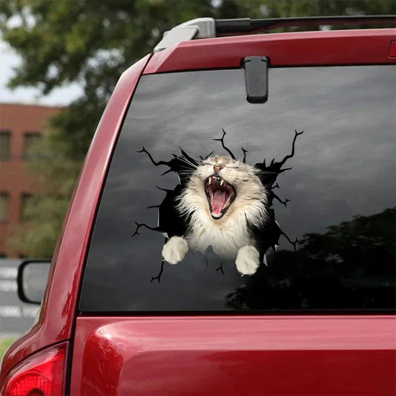Sticker Maine Coon – convient aux voitures, fenêtres, ordinateurs portables et toute surface lisse ; autocollants Maine Coon, stickers animaux de compagnie, sticker chat personnalisé