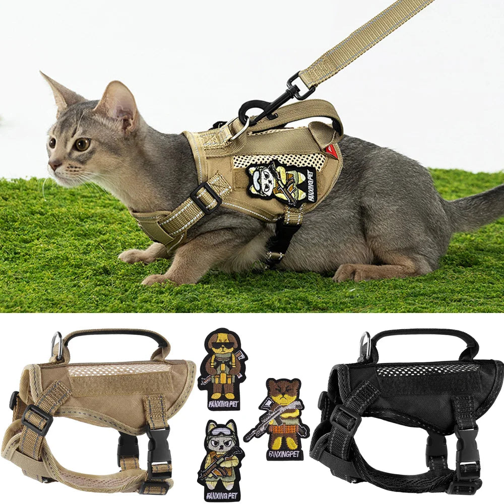 Harnais tactique et laisse pour chaton ou chiot – Harnais à main pour chats (Maine Coon, Chinchilla) et accessoires adhésifs pour animaux