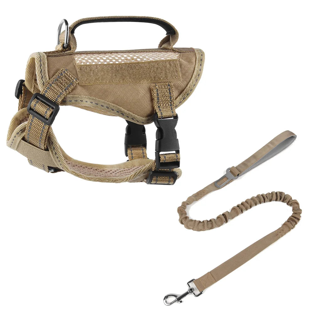 Harnais tactique et laisse pour chaton ou chiot – Harnais à main pour chats (Maine Coon, Chinchilla) et accessoires adhésifs pour animaux