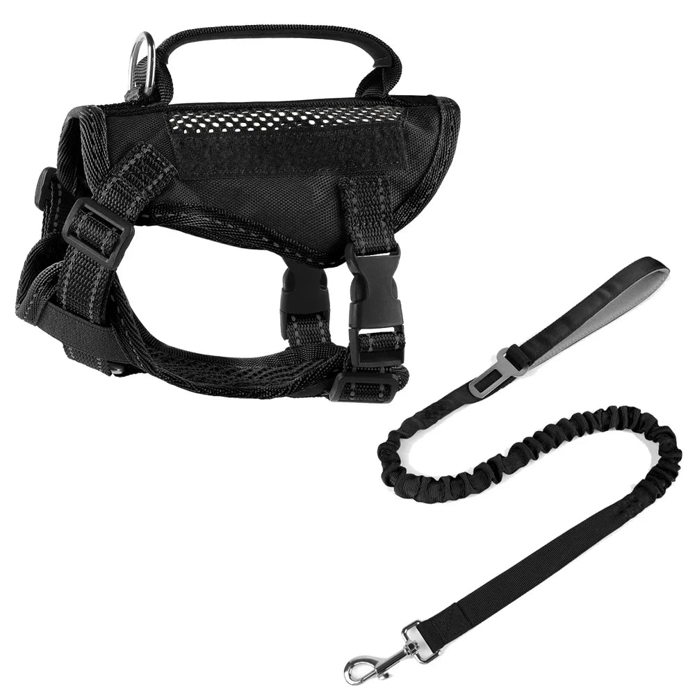 Harnais tactique et laisse pour chaton ou chiot – Harnais à main pour chats (Maine Coon, Chinchilla) et accessoires adhésifs pour animaux