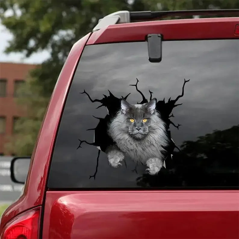 Sticker Maine Coon – convient aux voitures, fenêtres, ordinateurs portables et toute surface lisse ; autocollants Maine Coon, stickers animaux de compagnie, sticker chat personnalisé
