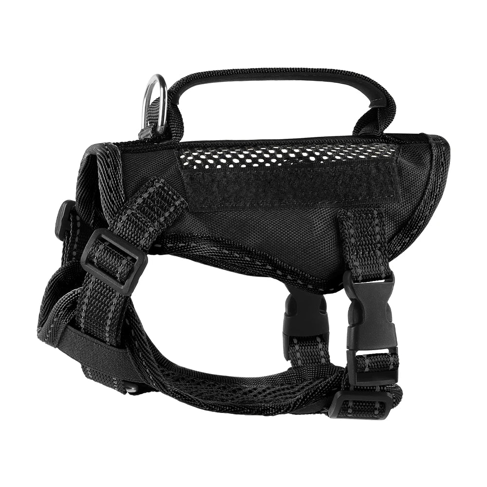 Harnais tactique et laisse pour chaton ou chiot – Harnais à main pour chats (Maine Coon, Chinchilla) et accessoires adhésifs pour animaux