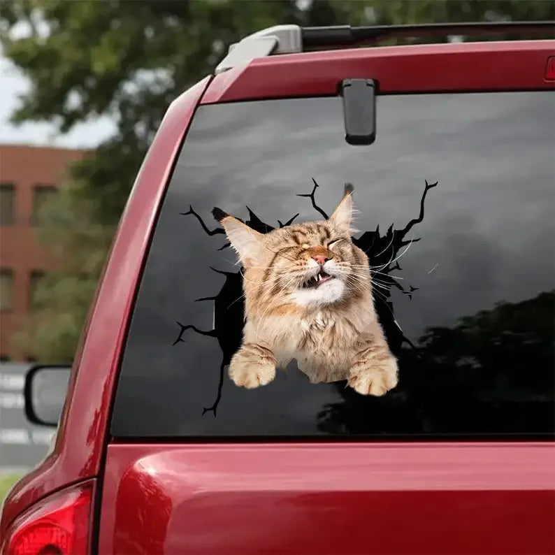 Sticker Maine Coon – convient aux voitures, fenêtres, ordinateurs portables et toute surface lisse ; autocollants Maine Coon, stickers animaux de compagnie, sticker chat personnalisé