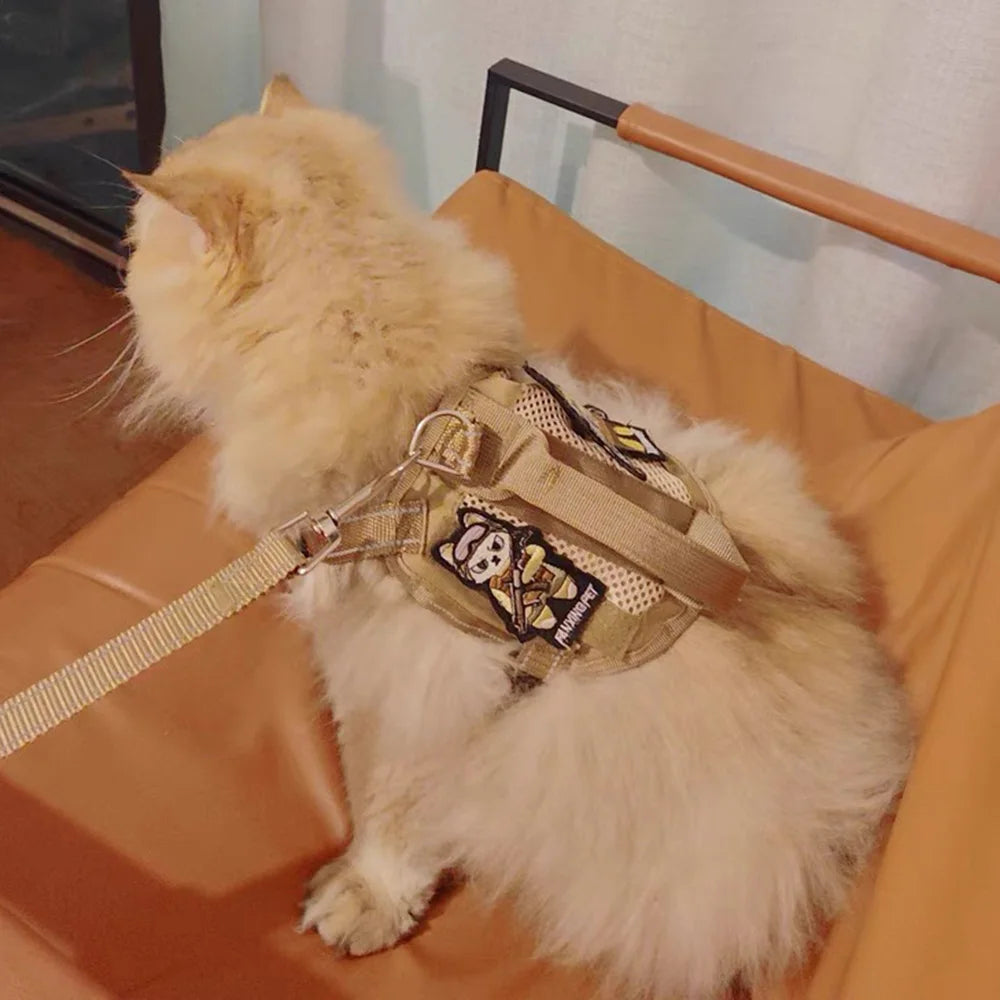 Harnais tactique et laisse pour chaton ou chiot – Harnais à main pour chats (Maine Coon, Chinchilla) et accessoires adhésifs pour animaux