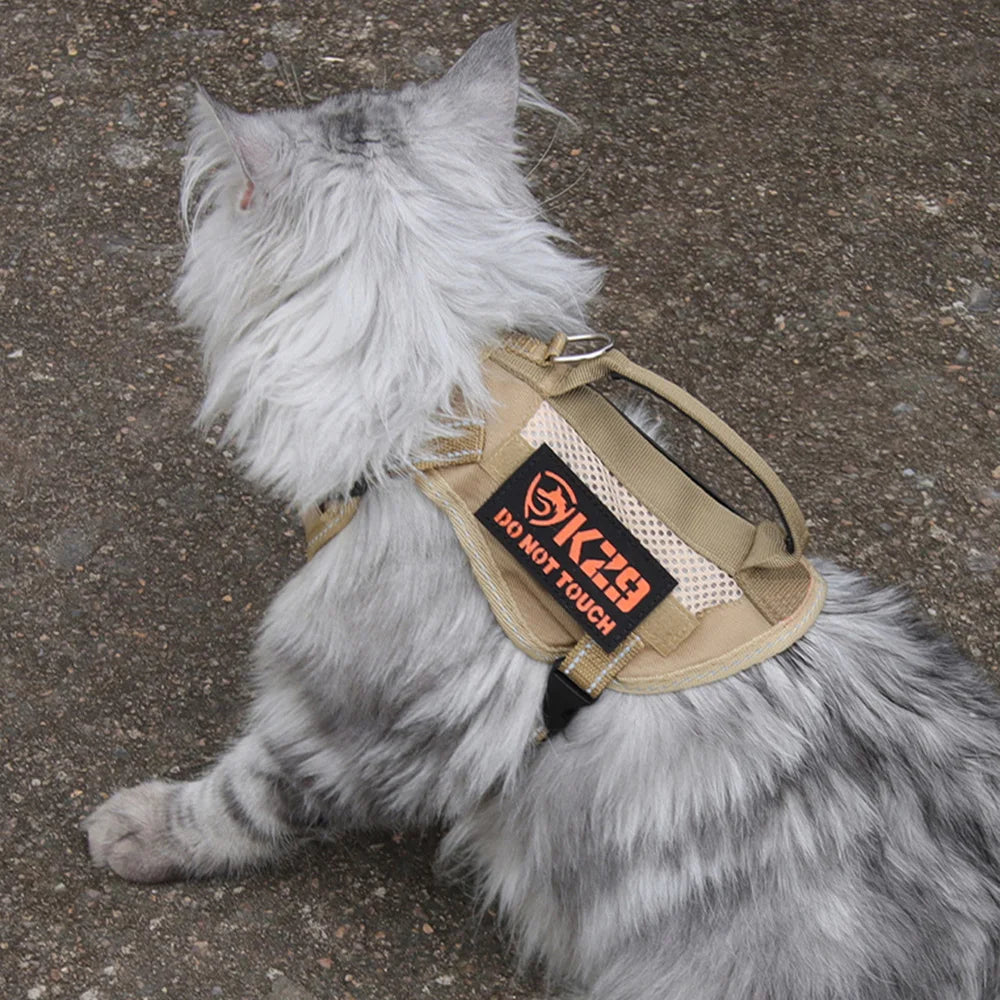 Harnais tactique et laisse pour chaton ou chiot – Harnais à main pour chats (Maine Coon, Chinchilla) et accessoires adhésifs pour animaux