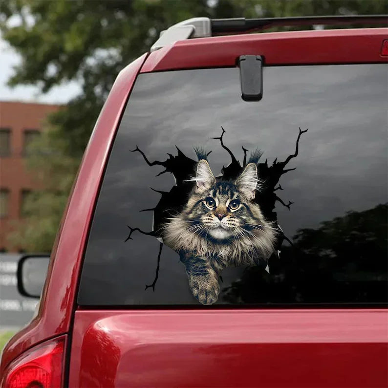 Sticker Maine Coon – convient aux voitures, fenêtres, ordinateurs portables et toute surface lisse ; autocollants Maine Coon, stickers animaux de compagnie, sticker chat personnalisé