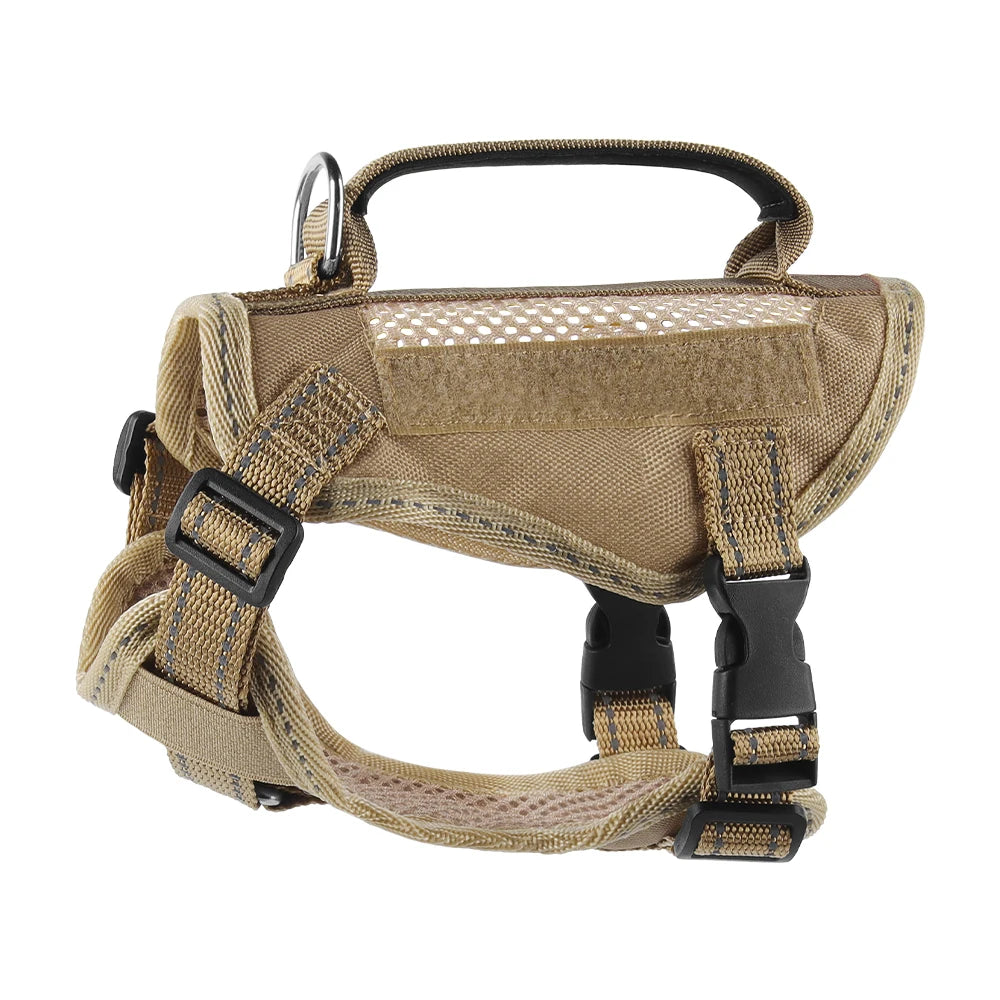 Harnais tactique et laisse pour chaton ou chiot – Harnais à main pour chats (Maine Coon, Chinchilla) et accessoires adhésifs pour animaux