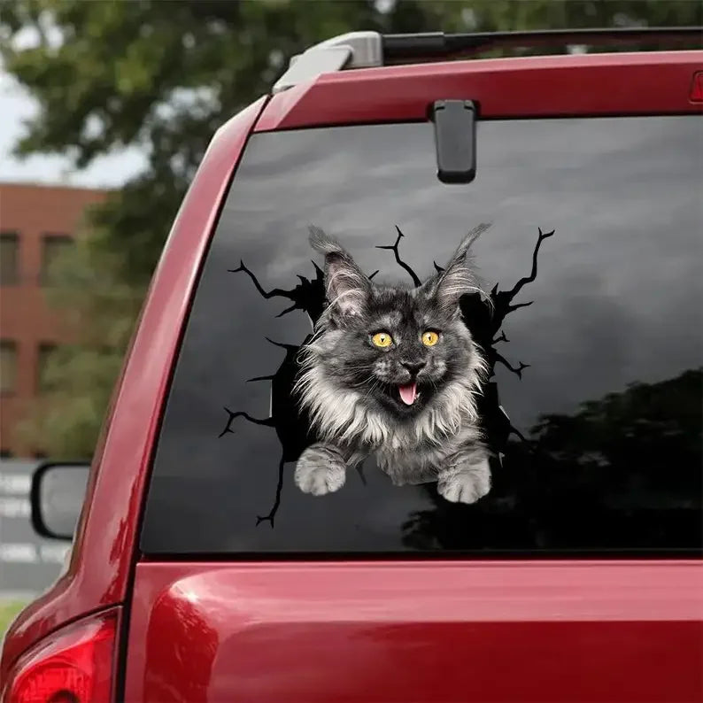 Sticker Maine Coon – convient aux voitures, fenêtres, ordinateurs portables et toute surface lisse ; autocollants Maine Coon, stickers animaux de compagnie, sticker chat personnalisé