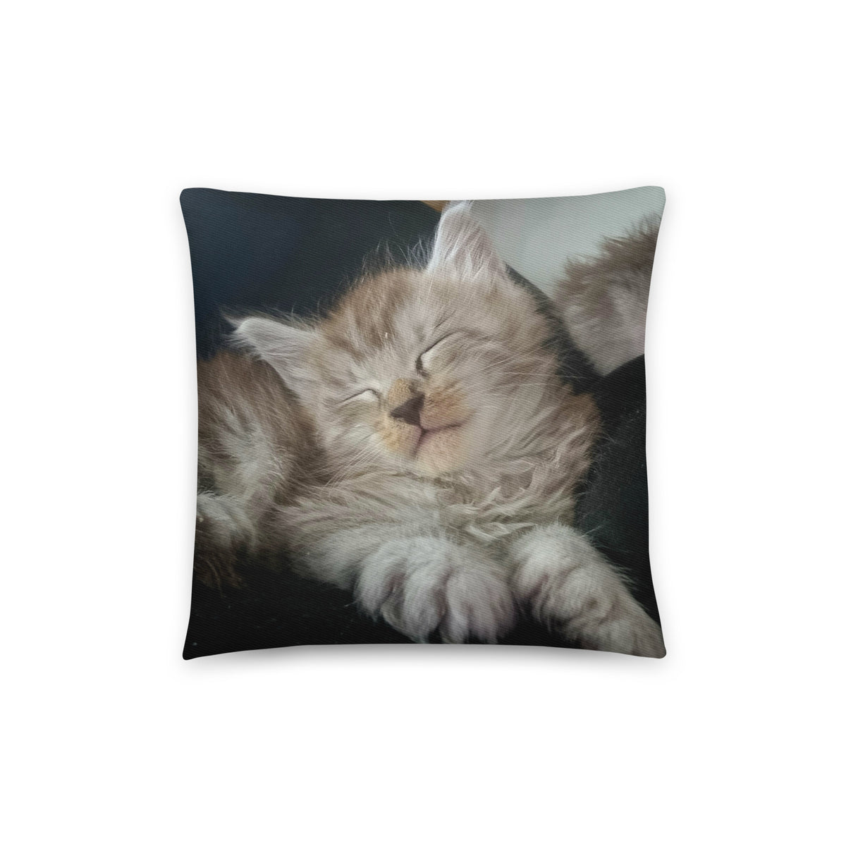 Oreiller en coton Maine Coon — modèle 2