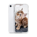 Coque iPhone Maine Coon — modèle 2