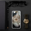 Coque iPhone Maine Coon — modèle 1