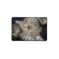 Tapis de souris Maine Coon — modèle 2