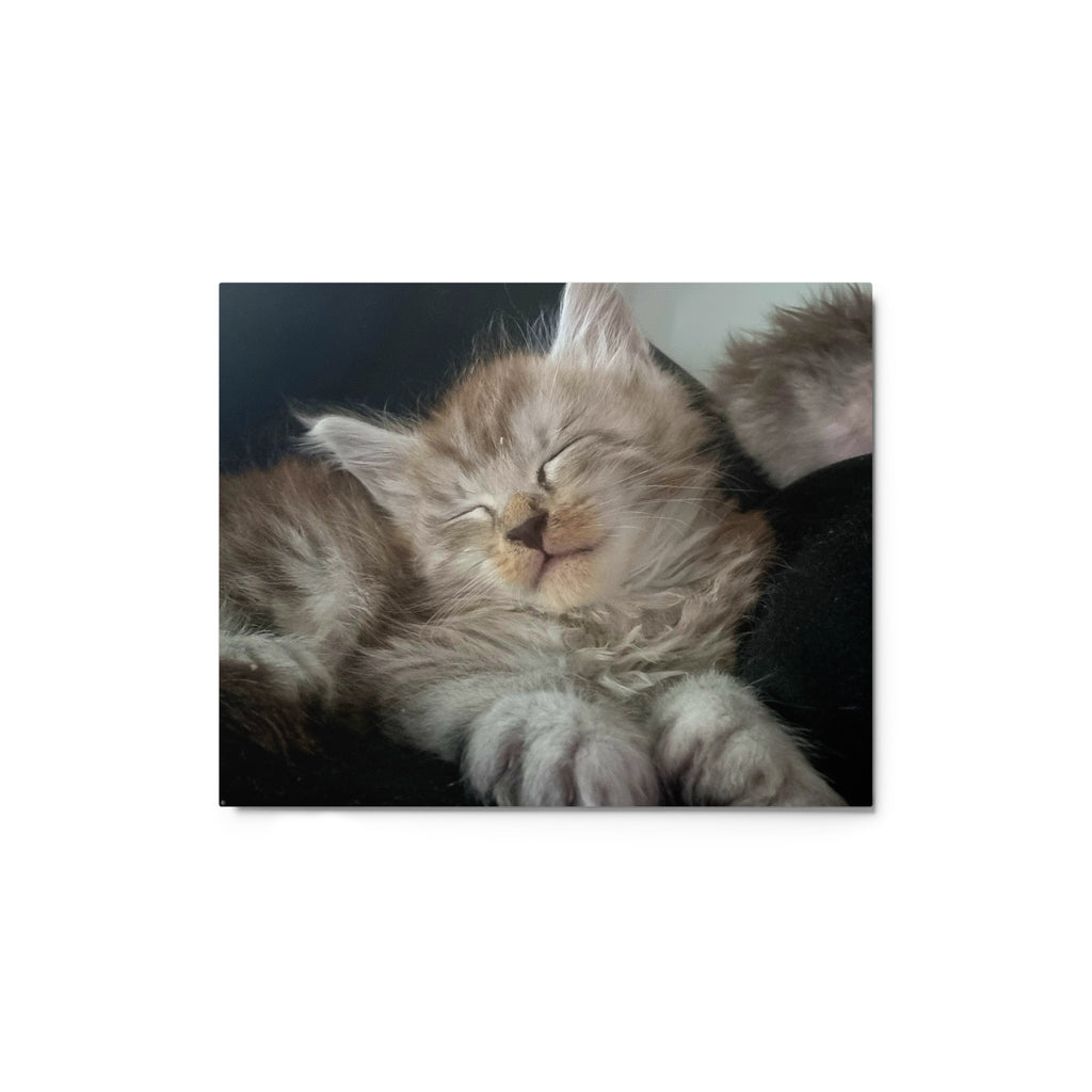 Impression sur métal Maine Coon — modèle 2 - vue 2