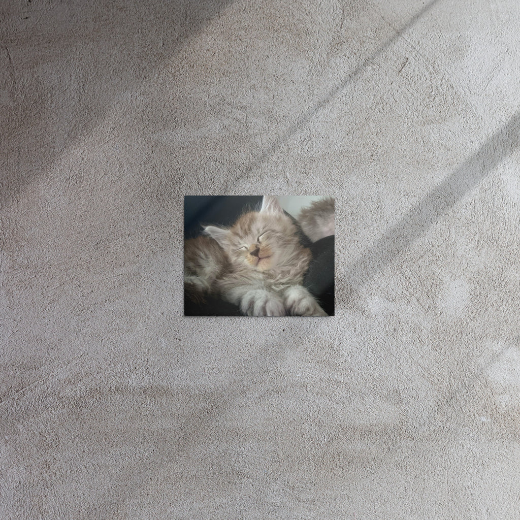 Impression sur métal Maine Coon — modèle 2