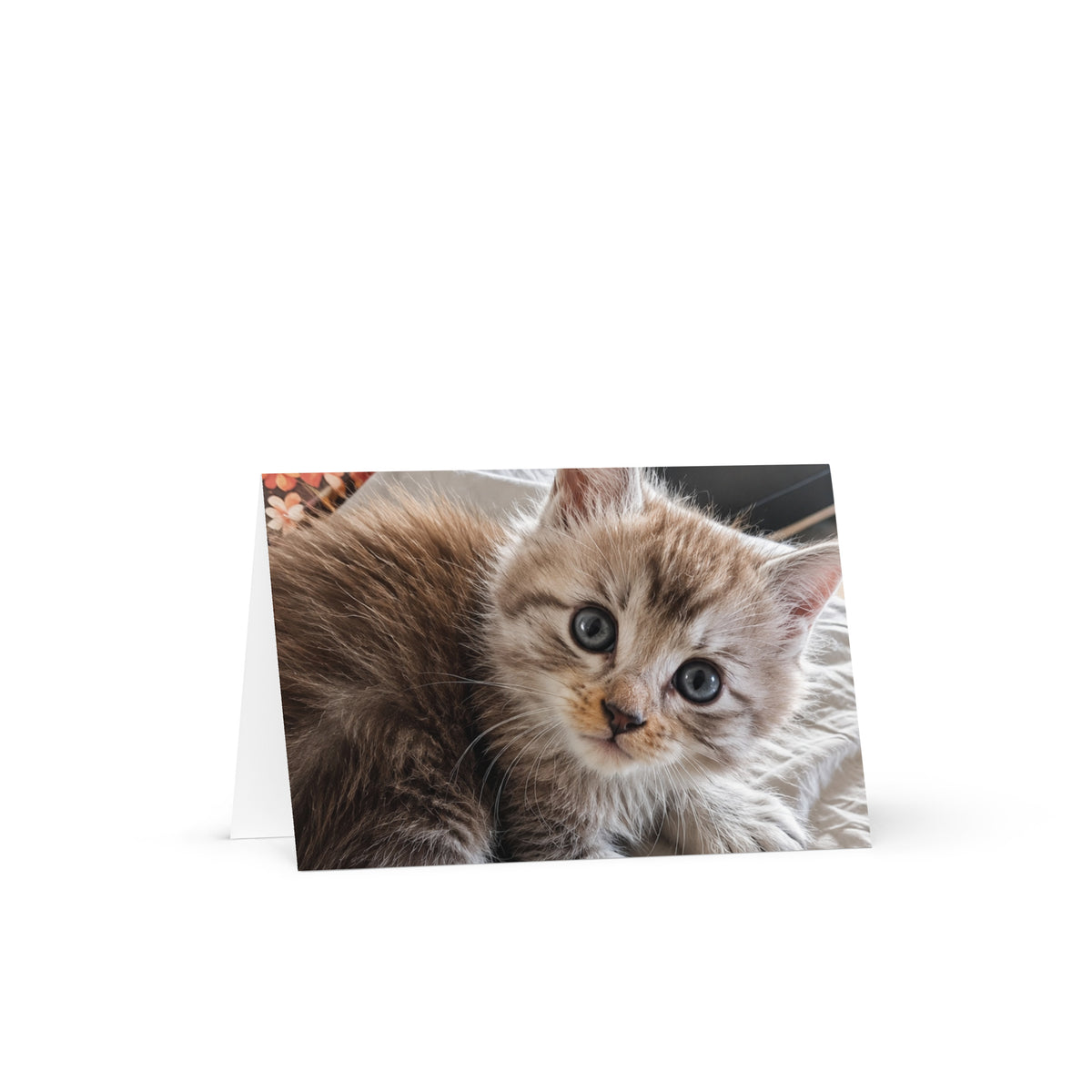 Carte de vœux Maine Coon — modèle 4