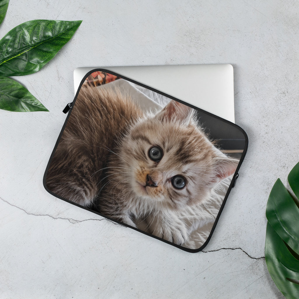 Housse ordinateur portable Maine Coon — modèle 9