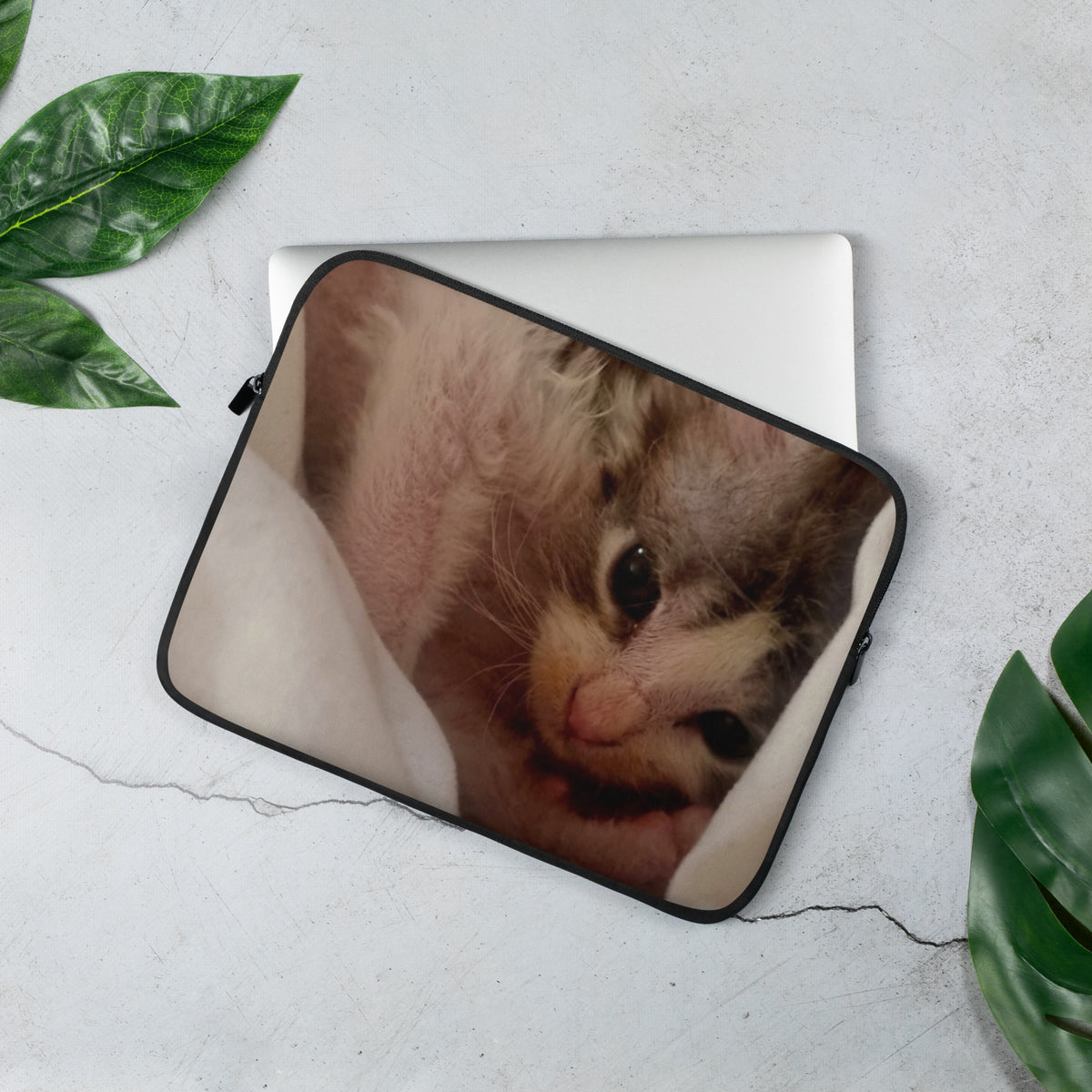 Housse ordinateur portable Maine Coon — modèle 10