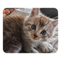 Tapis de souris Maine Coon — modèle 1
