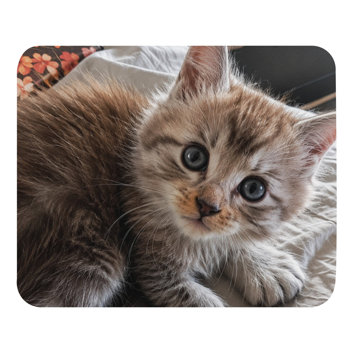 Tapis de souris Maine Coon — modèle 1